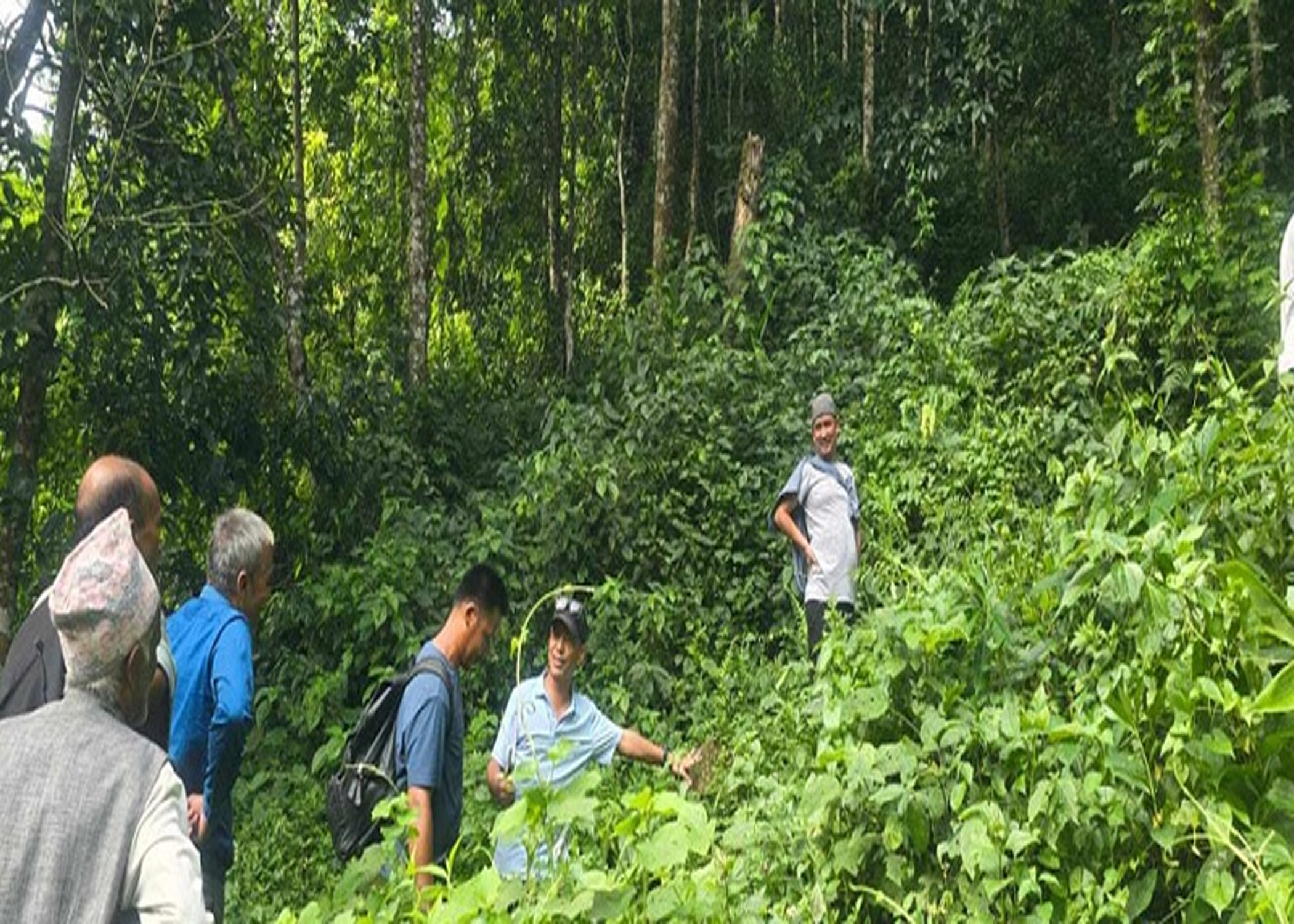 पर्यटन प्रवर्द्धनका लागि निसान पदमार्गमा ‘पदयात्रा’