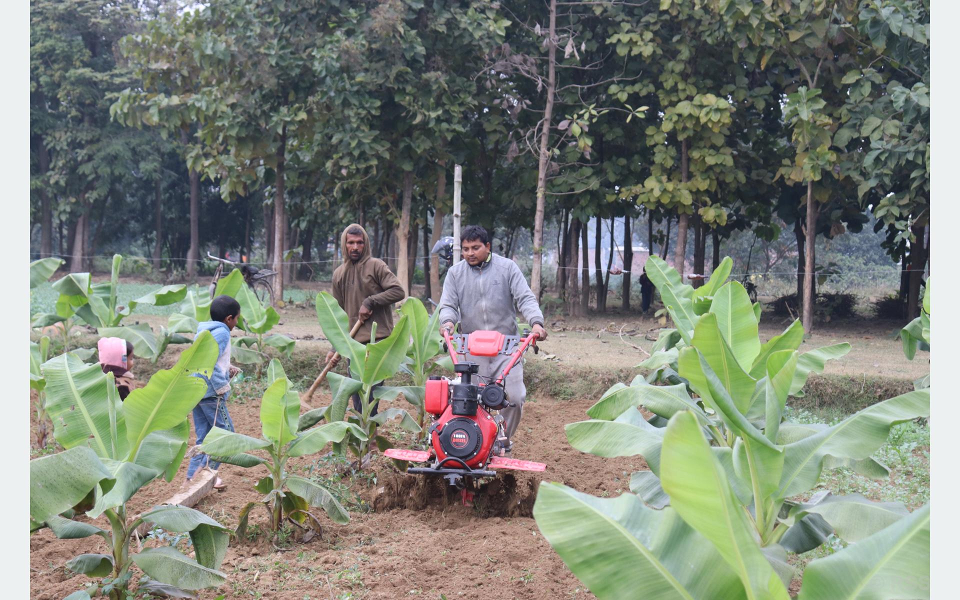 शिक्षण पेसासँगै कृषिमा रमाउँदै सर्वेन्द्र
