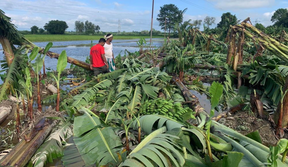 ‘कृषि क्षेत्रमा युवा पलायन सबैभन्दा ठूलो चुनौती’
