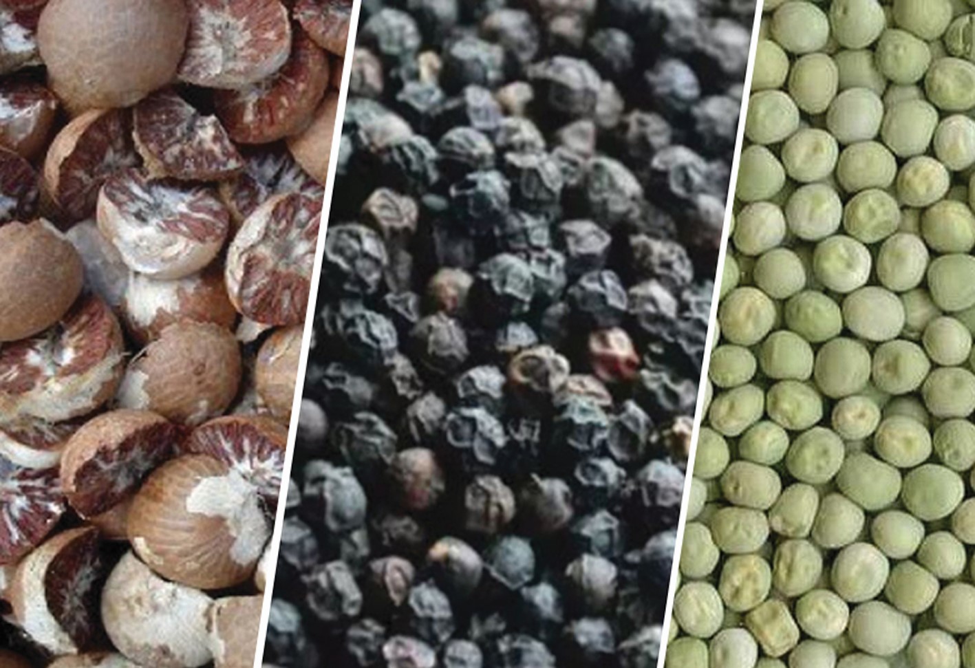 सुपारी, केराउ र मरिच आयात खुलाइयो