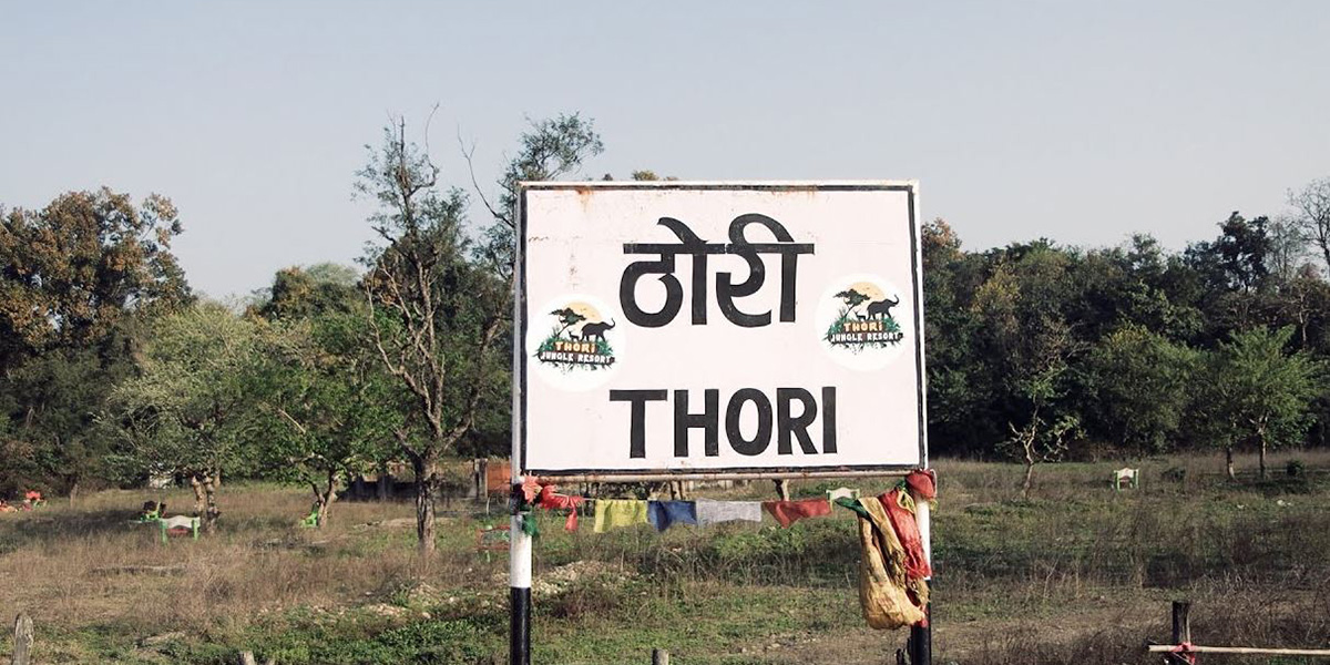 भारतीय पर्यटक बढेसँगै गुल्जार बन्दै पर्साको ठोरी