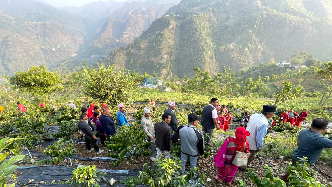 कफी खेती अवलोकन गर्न कृषक महाभारतमा