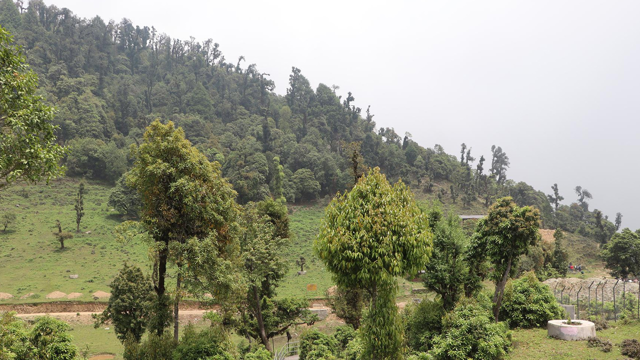 सोलेडाँडामा ‘जडीबुटी पार्क’