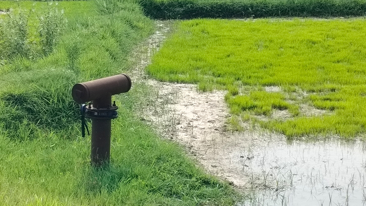 देशभर ६२.६८ प्रतिशत क्षेत्रमा मात्र सिँचाइ सुविधा
