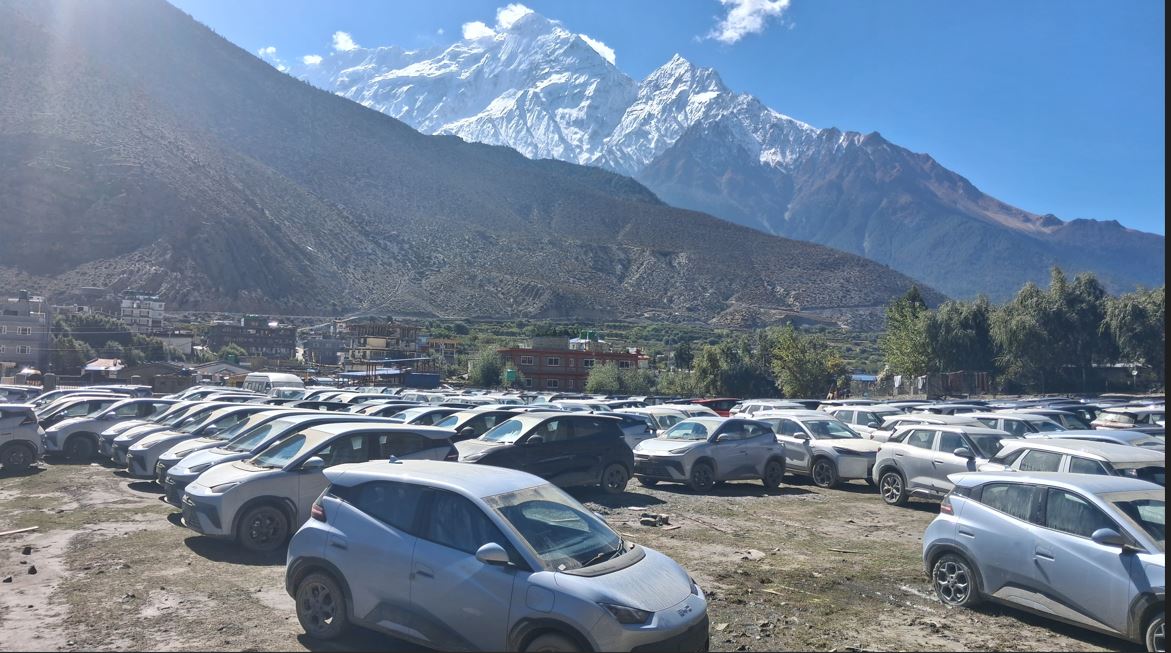 कोरला नाकाबाट भित्रिएका ‘इभी’लाई गन्तव्यमा पुर्याउन सकस